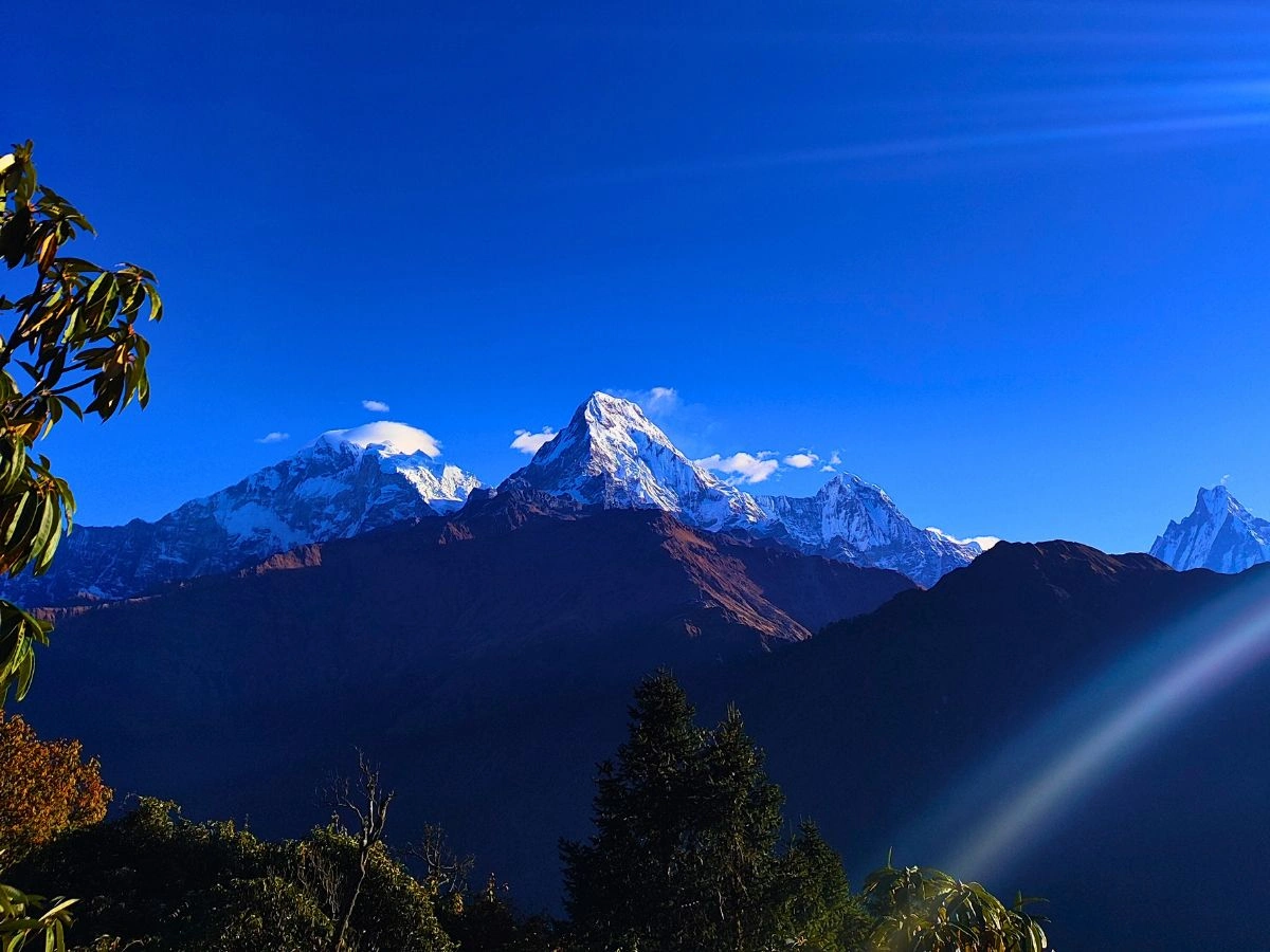 Poon Hill Trek From Pokhara