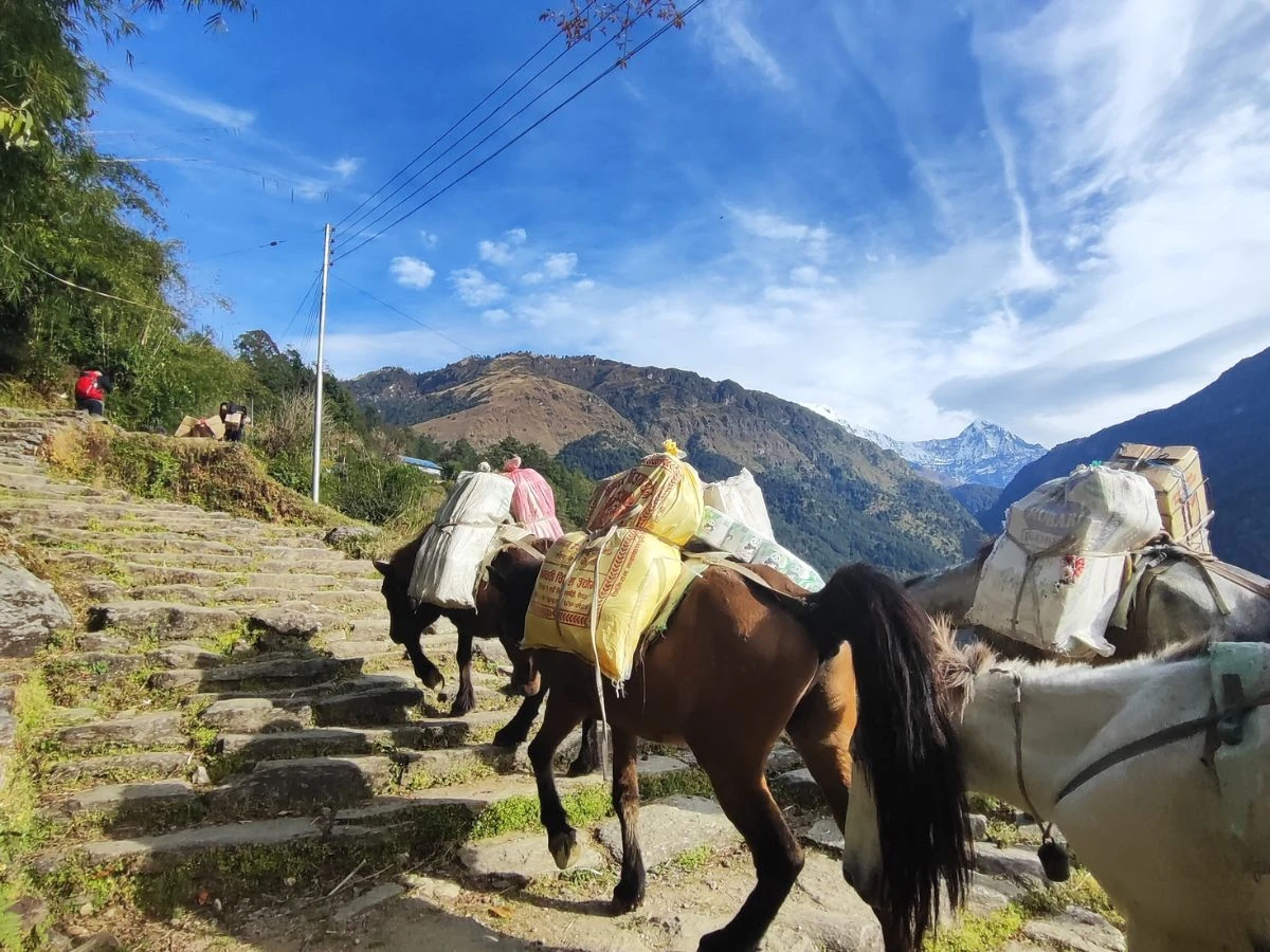 Annapurna Sunrise Trek