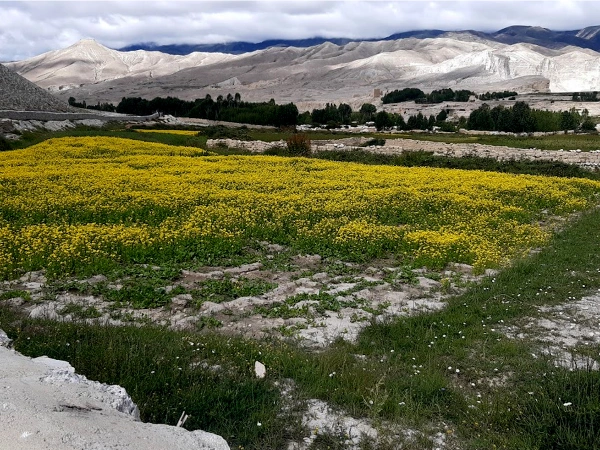 Chhoser village upper mustang