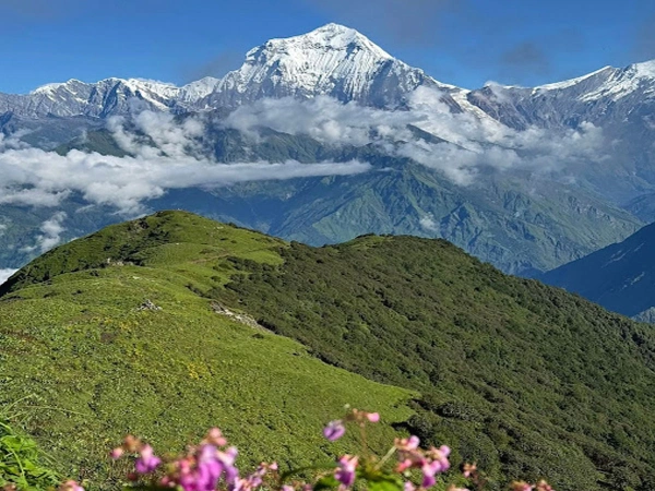 Mardi himal trek