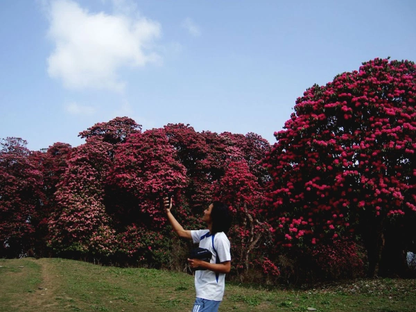 Poon hill hiking in spring