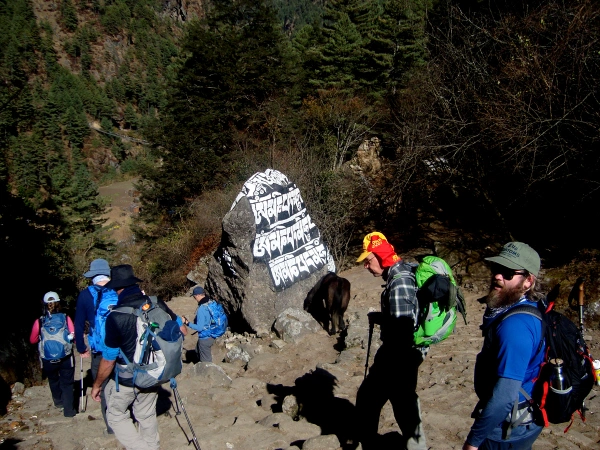 Trekking everest base camp