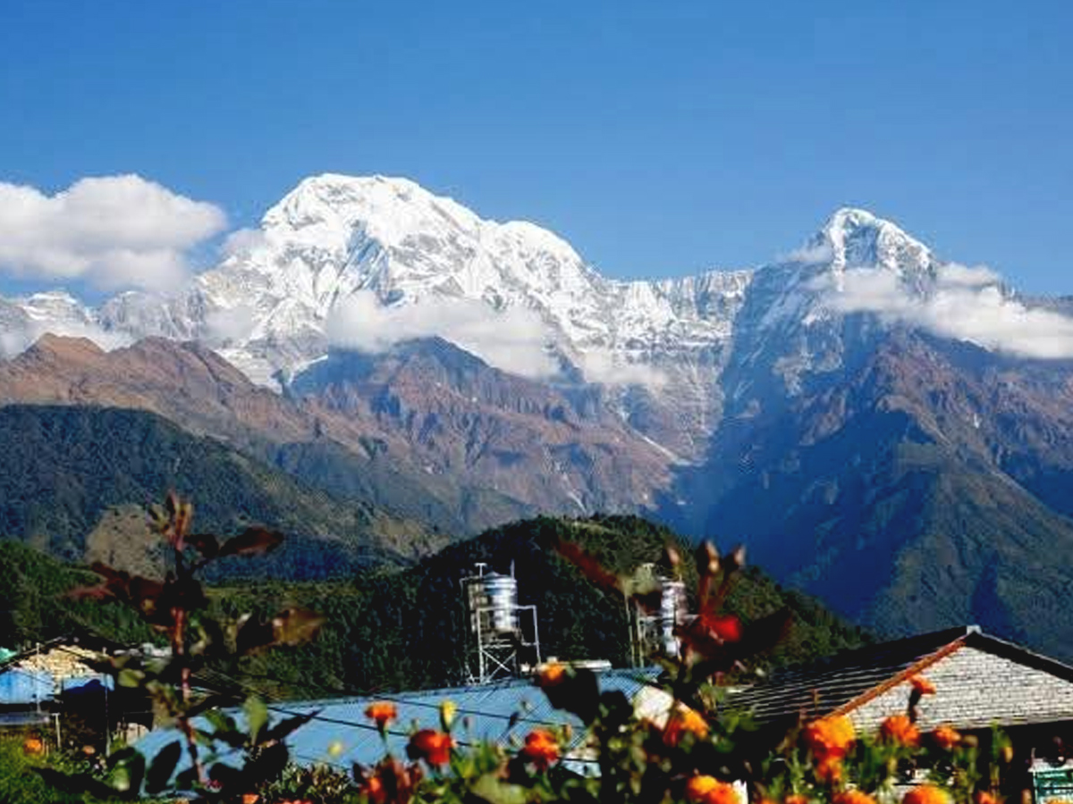 Ghorepani Poon Hill Easy Trek Nepal