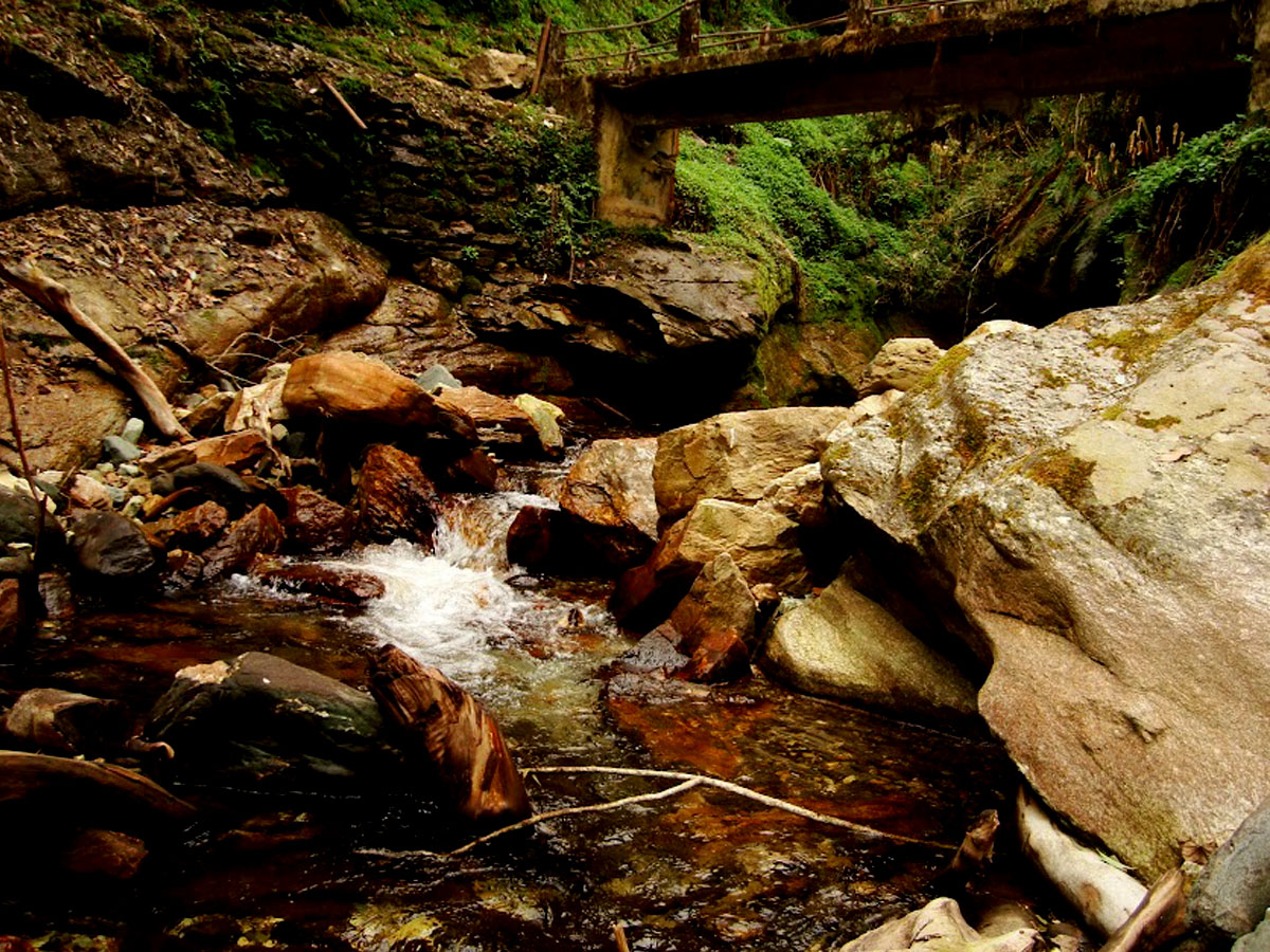 Trek to Annapurna Base Camp in April