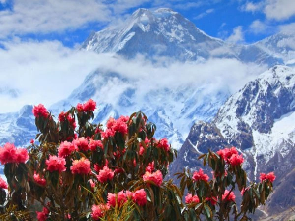 Manaslu Circuit Trek