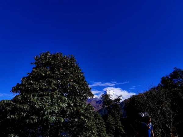 Annapurna View From Ghorepani