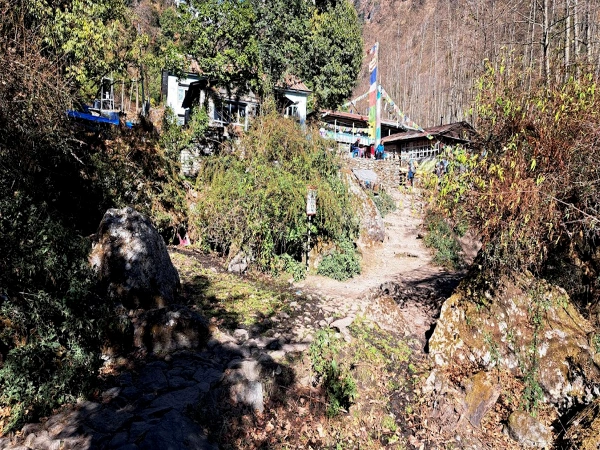 Bamboo Way Yala Peak Climbing