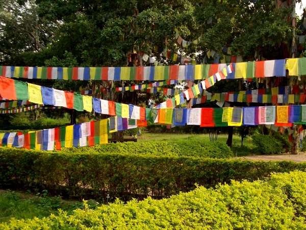 Buddha Maya Garden Lumbini
