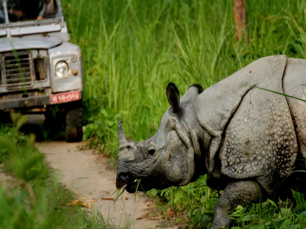 Chitwan Tour Jeep Trip