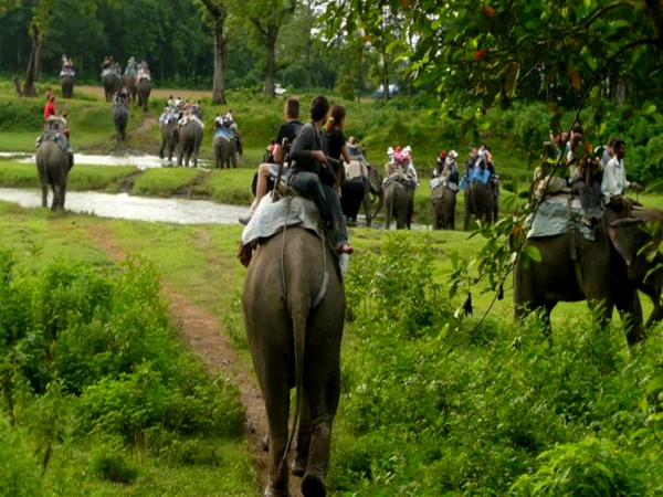 Elephant Back Safari Chitwan National Park