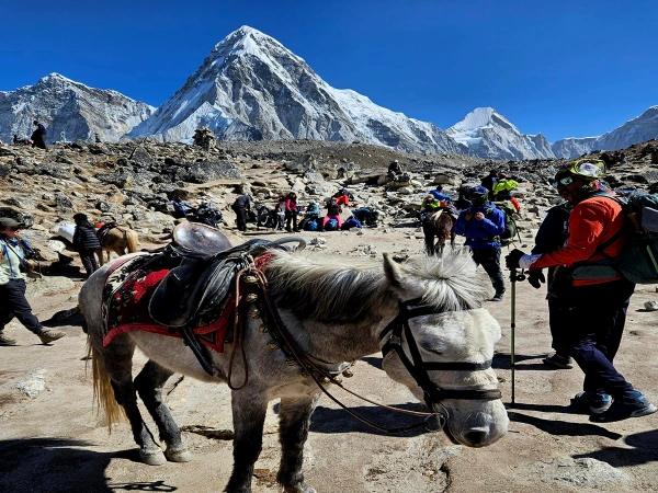 Happy Trekkers Horse Ride Everest Base Camp Trek