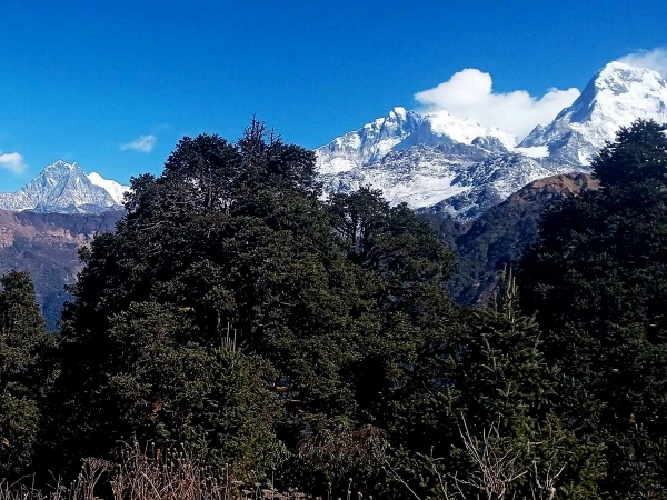 Hiking Poon Hill View From Gurung Hill