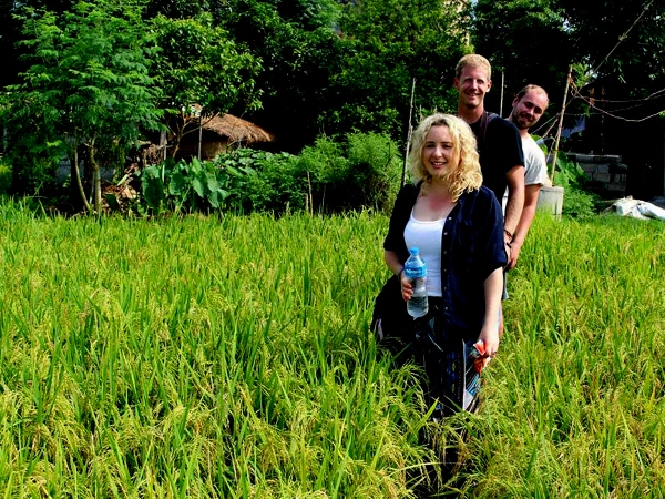 Rice Field Chitwan Tour