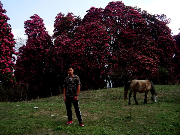 Tent Peak Climbing Spring Season