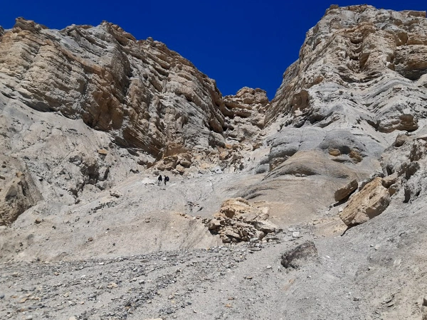 Trek Path Yara Upper Mustang