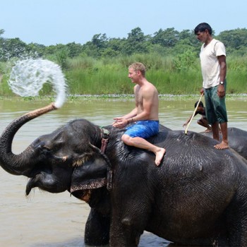 Chitwan National Park Tour: Guest enjoy Elephant bathing