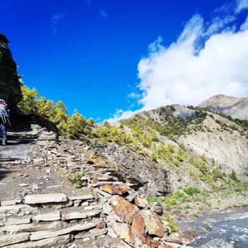 Annapurna Roud Trek View from Upper Pissang