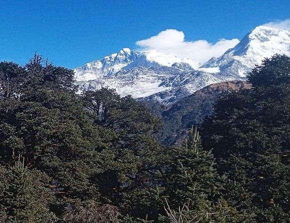 Poon Hill Sunrise Trek