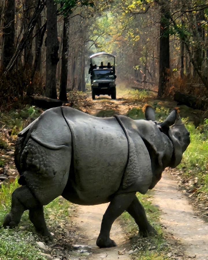 Explore Chitwan National Park 2Night 3Day