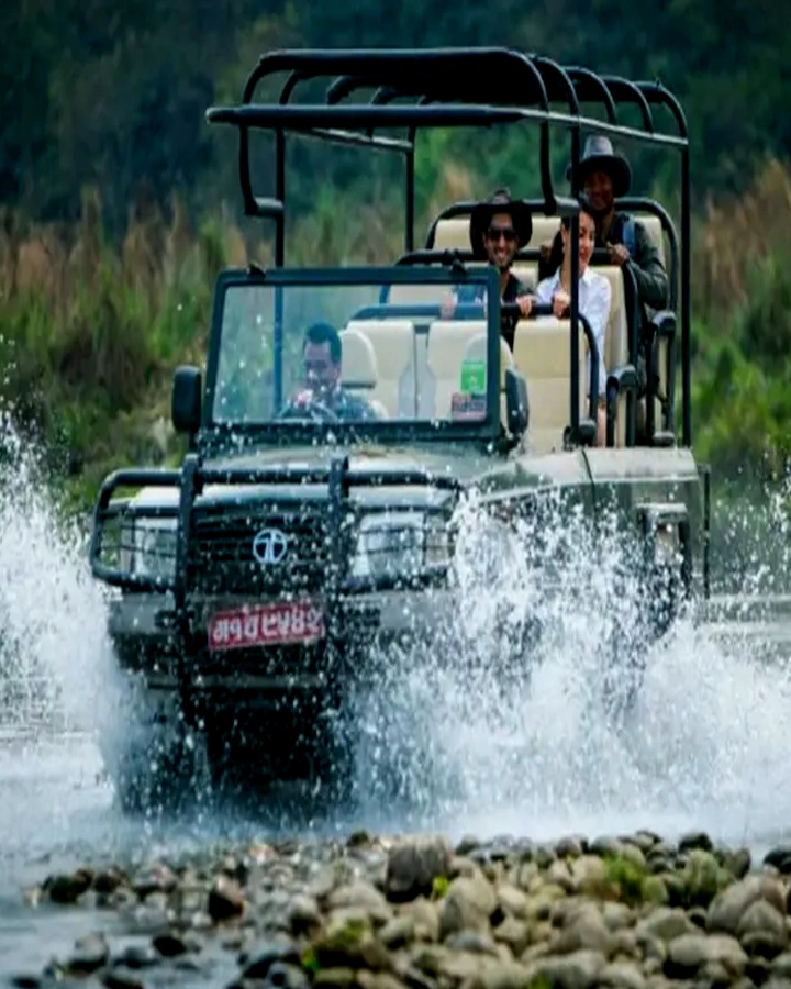 Chitwan National Park 2night 3day