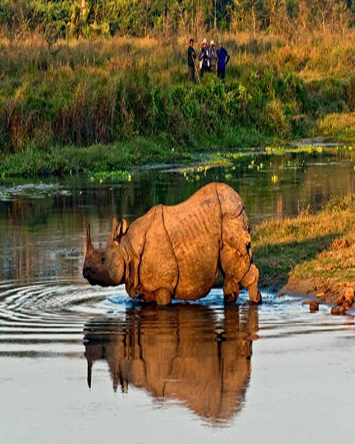 Explore Chitwan National Park for 2 Nights 3 Days