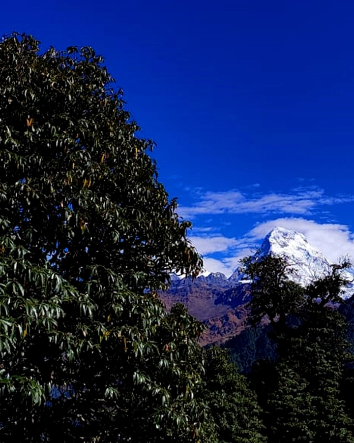 Explore Poon Hill 3,210 m